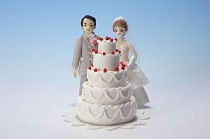 DNA相性度も見られる婚活サイトです