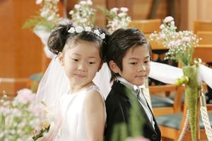 新宿エリアで最も信頼される結婚相談所2025年版｜成功率と選び方の完全ガイド